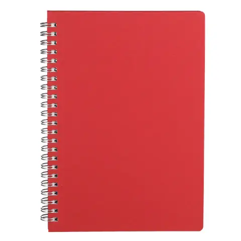 GRATZ — Notes A5