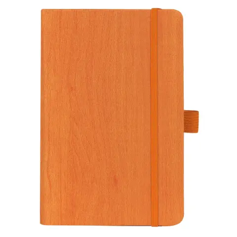 PINO MINI — Notes A6